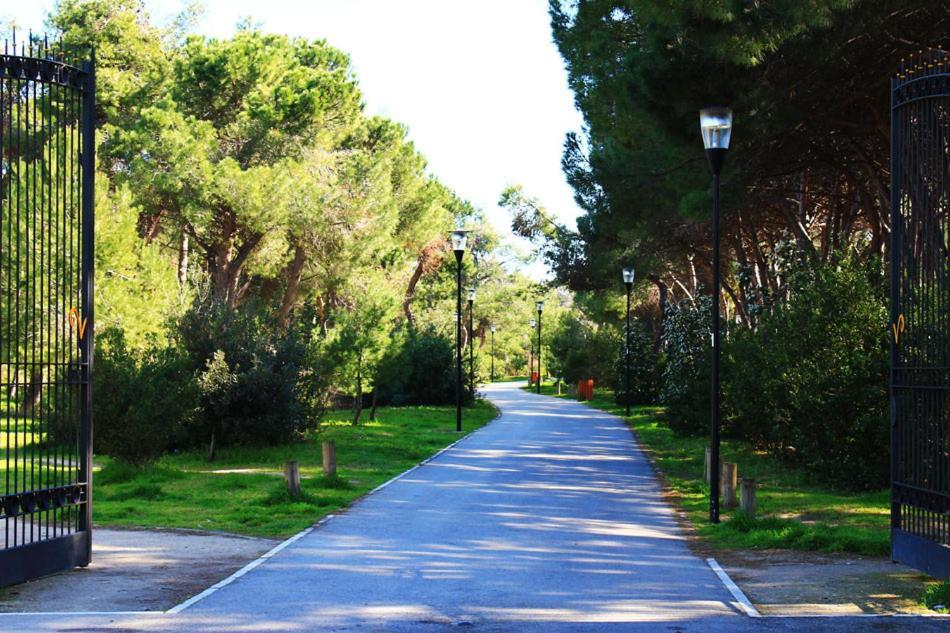 Carducci 83 Bed and Breakfast Pescara Esterno foto